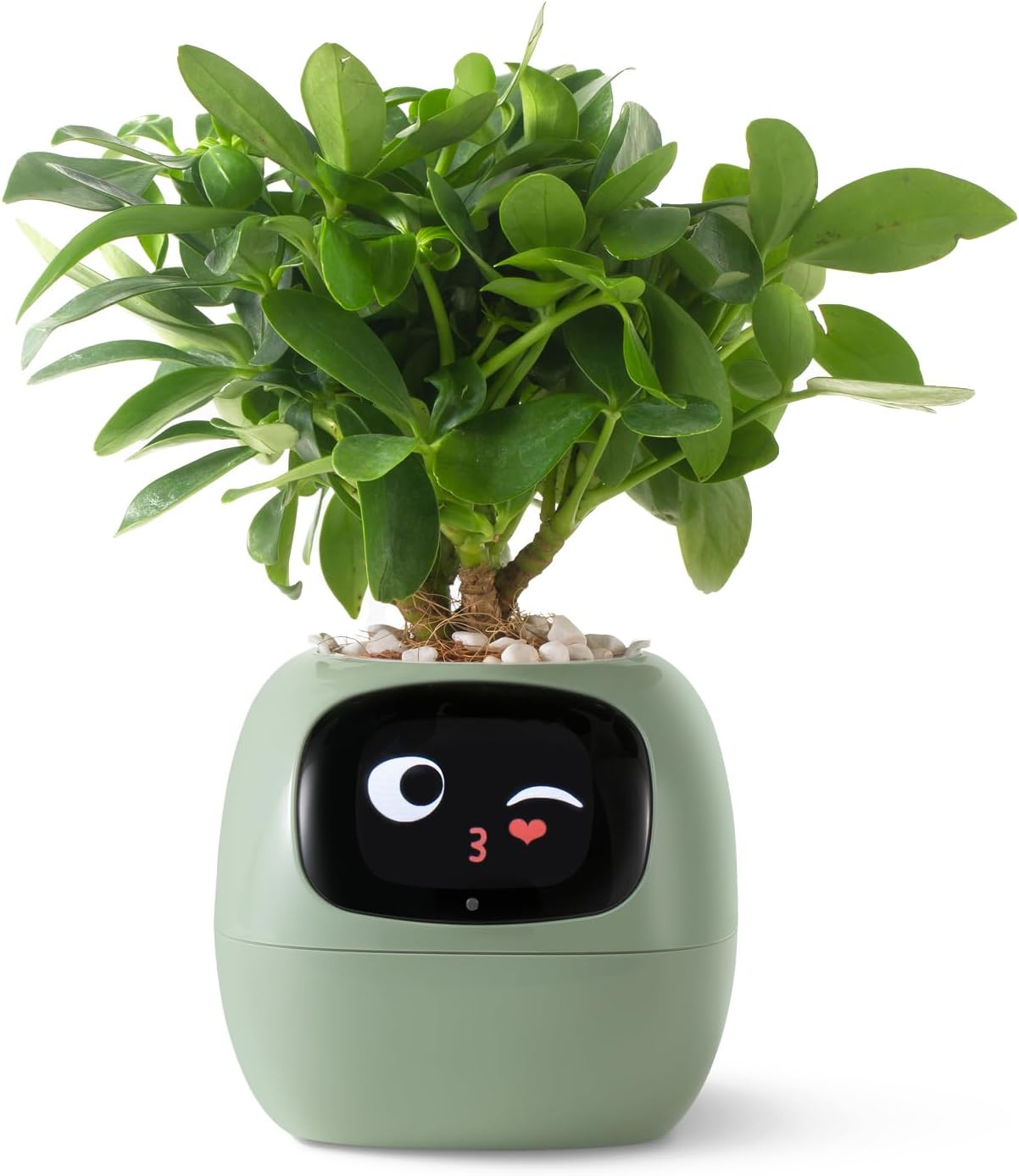 KTX-385299 Smart Plant Care Robot with Automated Watering and Growth Monitoring for Indoor Plants - Interactive Desk Companion