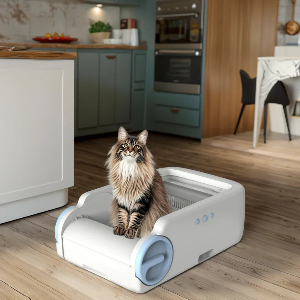 KTX-397907 Smart Cat Litter Box with APP Control and Automatic Cleaning, Anti-Bacterial Material, Easy to Clean, Various Sizes