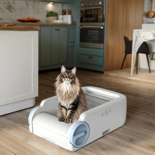 KTX-397907 Smart Cat Litter Box with APP Control and Automatic Cleaning, Anti-Bacterial Material, Easy to Clean, Various Sizes