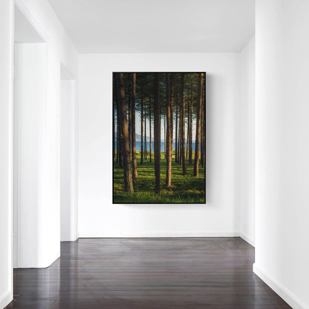 KTX-398547 Hand-Painted Summer Forest Landscape Oil Painting on Canvas, Multiple Sizes Available
