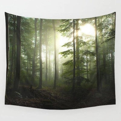 KTX-401619 Dawn Wall 100% Polyester Tapestry with Printed Design