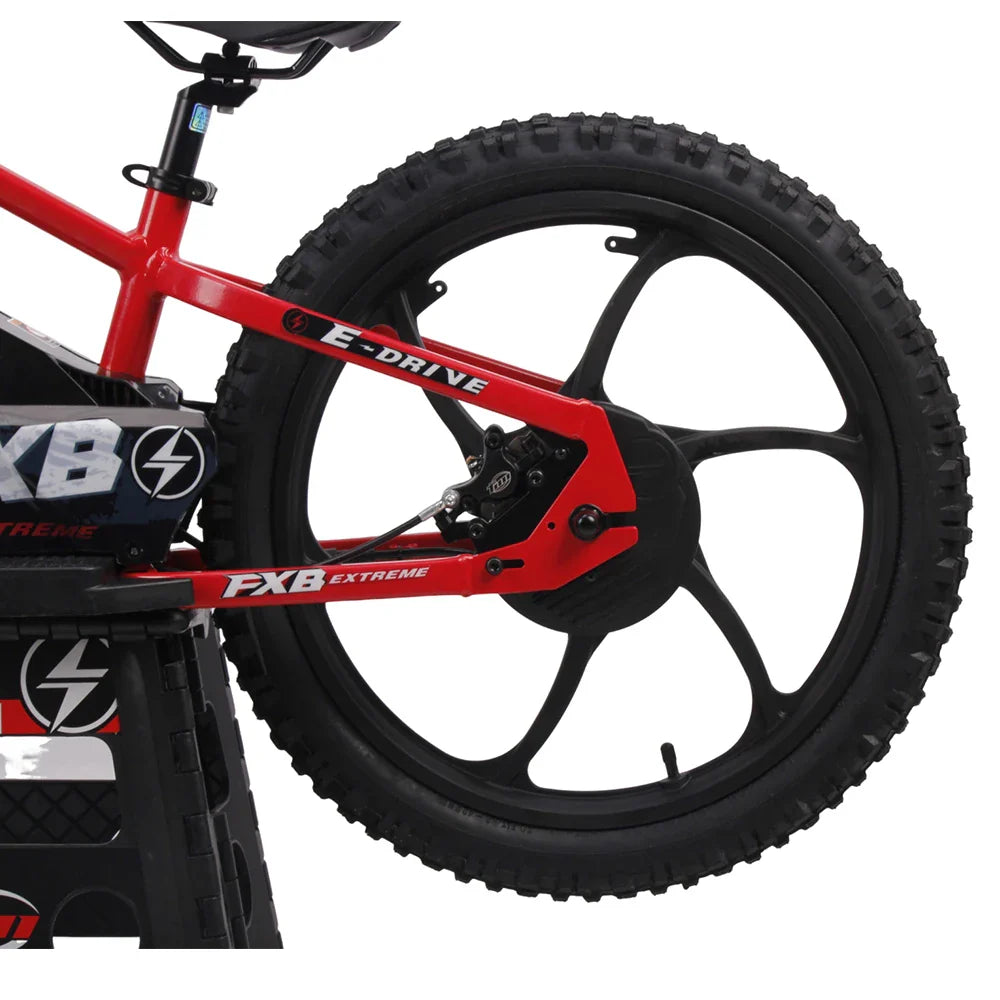 KTX-410387 20 Inch Fat Tire Electric Bike 600W Mountain Off-Road Bicycle for Kids, Aluminum Frame, Hydraulic Brakes