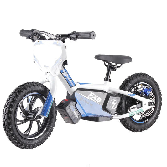 KTX-412691 Adult Electric Balance Bike, 36V 250W Lithium Battery, 2 Speed, 12" Wheels, Disc Brakes, Smart Sensor, 30-50 km/h Speed