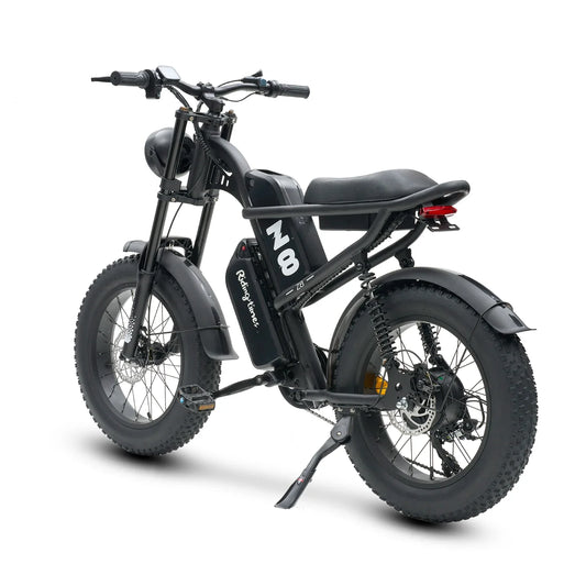 KTX-432467 1000W 20-Inch Fat Tire Electric Bike with 7-Speed Gears, Dual Lithium Batteries, and LCD Display