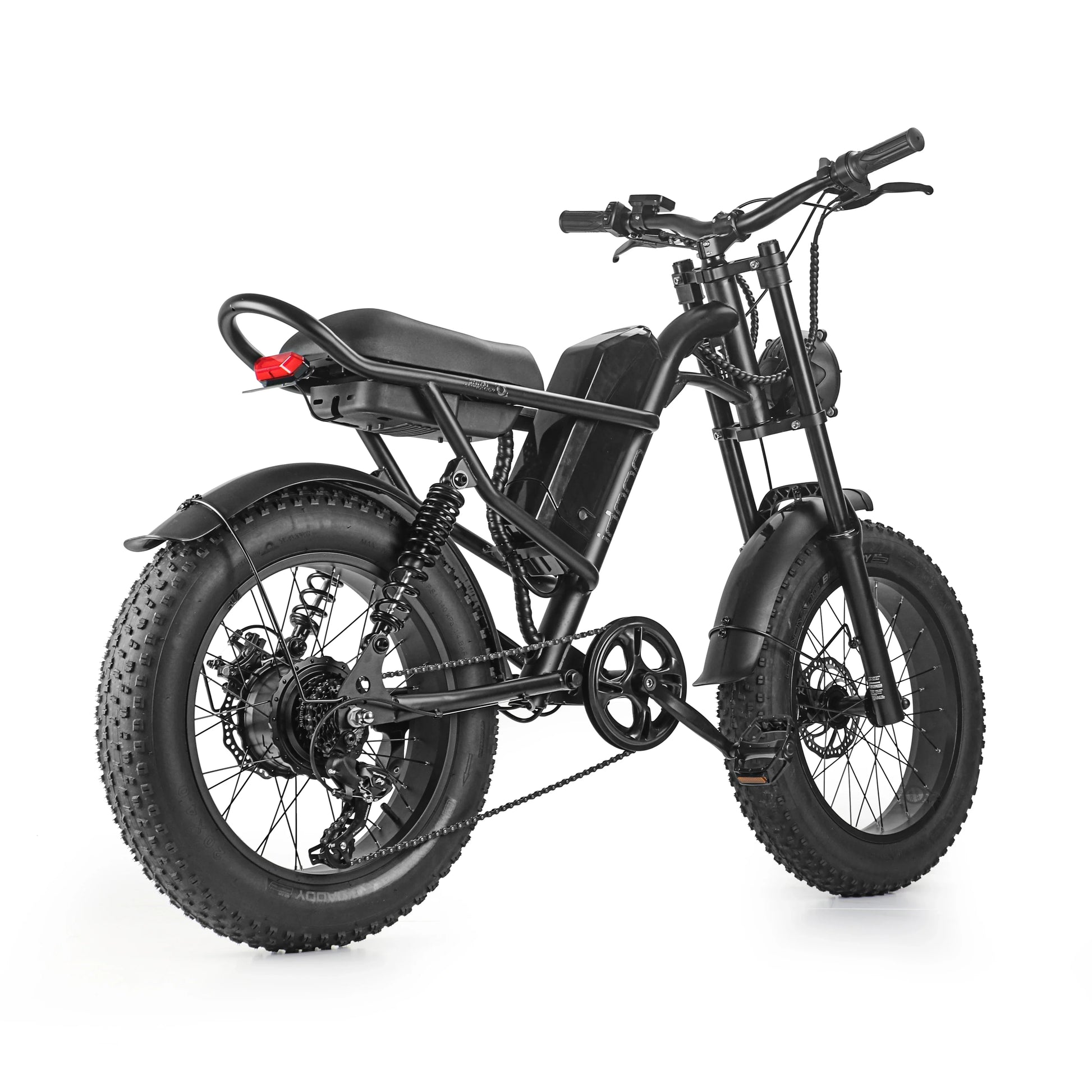 KTX-432467 1000W 20-Inch Fat Tire Electric Bike with 7-Speed Gears, Dual Lithium Batteries, and LCD Display