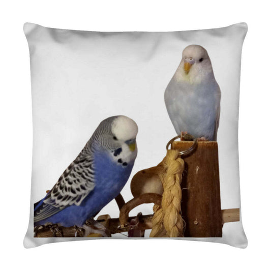 KTX-435667 Pure White Baby Fleece Cushion with PP Cotton Filling - Modern Decorative Pillow