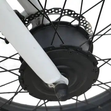 KTX-436307 Electric Tricycle with 48V 500W Motor and 7-Speed Gear System, 20-Inch Wheels, Disc Brakes