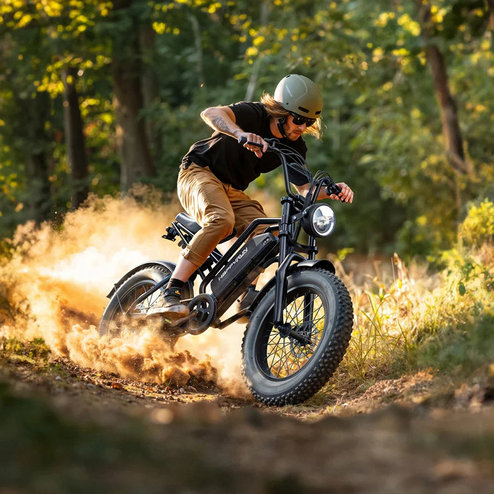 KTX-447123 48V 18AH Electric Cargo Bike - HappyRun Tank G50 City E-bike with Max Speed of 60 km/h