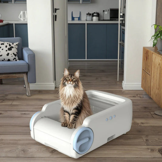 KTX-447635 Self-Cleaning Cat Litter Box with Anti-Slip Base and Odor Control Features, Large Capacity