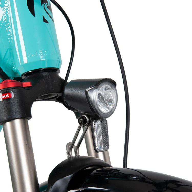 KTX-455571 Long Range 48V 19.2AH Electric City Bike with Hydraulic Disc Brakes and 9-Speed Gears