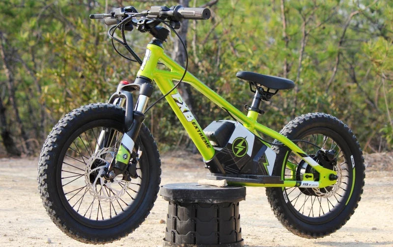 KTX-460115 16-Inch Electric Balance Bike for Kids with 2-Speed Gears and Disc Brake