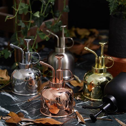 KTX-465235 Stainless Steel Watering Can with Hand Pressure for Home Gardening