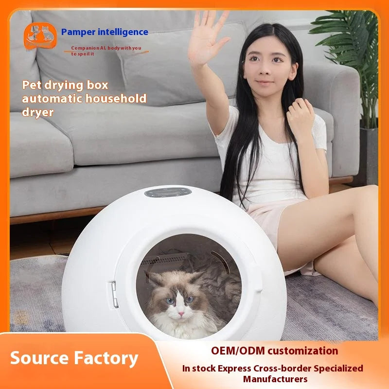 KTX-466707 Small Eco-Friendly Automatic Pet Hair Dryer for Dogs and Cats – Modern Plastic Drying Tool