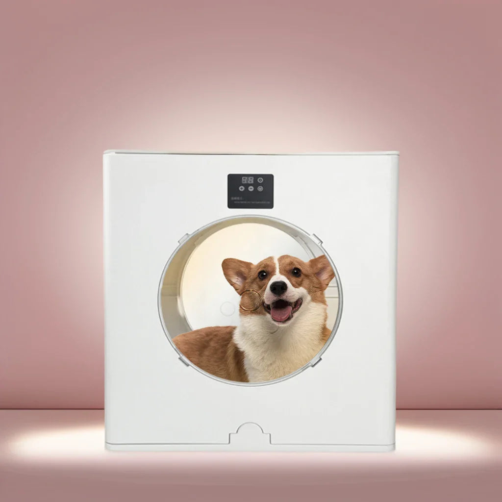 KTX-467859 Adjustable Speed Pet Hair Dryer for Dogs and Cats - Foldable and Efficient Grooming Tool