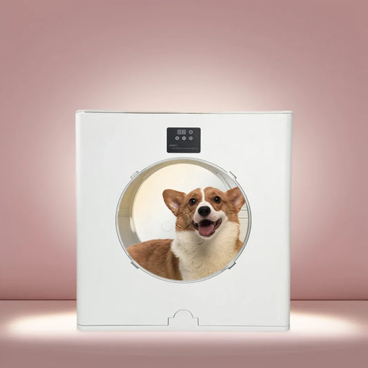 KTX-467859 Adjustable Speed Pet Hair Dryer for Dogs and Cats - Foldable and Efficient Grooming Tool