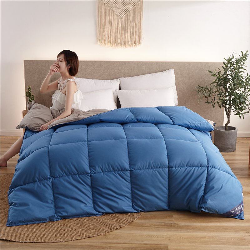 KTX-474515 Thick Winter Duvet Filled with 99% Ordinary Fiber in Multiple Colors