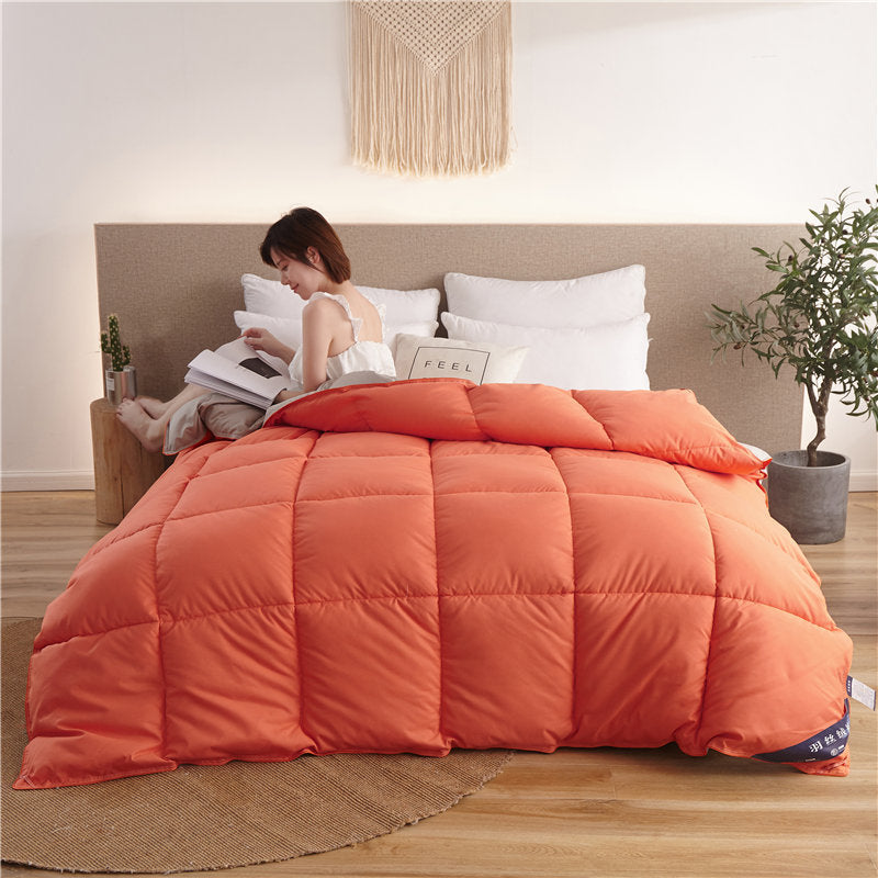 KTX-474515 Thick Winter Duvet Filled with 99% Ordinary Fiber in Multiple Colors