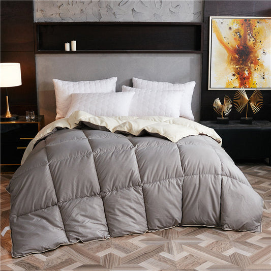 KTX-474515 Thick Winter Duvet Filled with 99% Ordinary Fiber in Multiple Colors