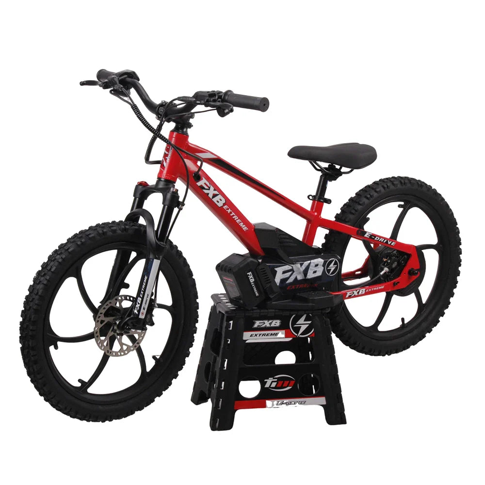 KTX-475923 20-inch Electric Balance Bike for Kids, 36V 600W, Two-Wheel Design, Aluminum Frame, Ages 8-13
