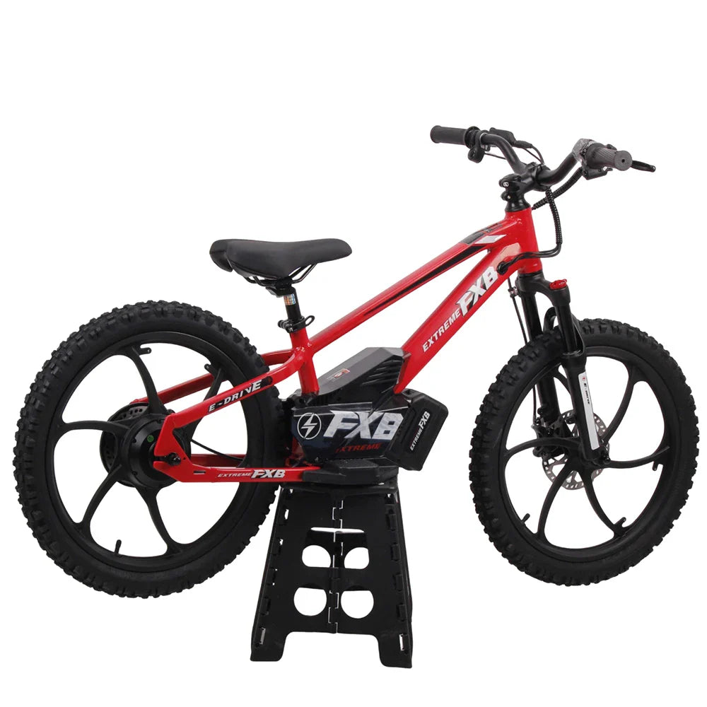 KTX-475923 20-inch Electric Balance Bike for Kids, 36V 600W, Two-Wheel Design, Aluminum Frame, Ages 8-13