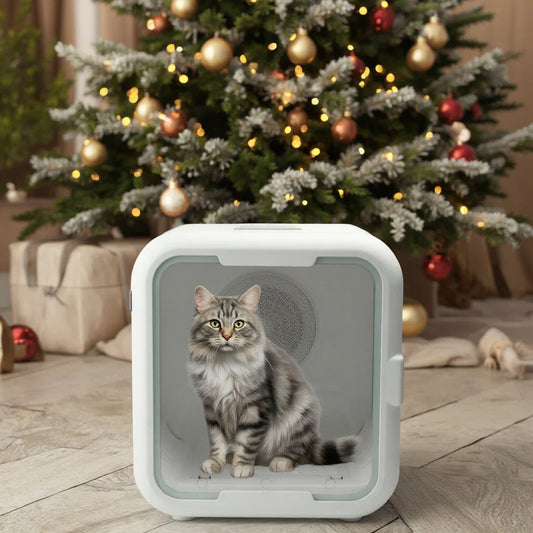 KTX-483667 Eco-Friendly Automatic Pet Hair Drying Machine for Cats and Dogs - Low Noise, Custom Size