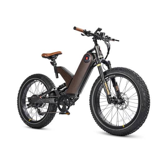 KTX-498771 750W Torque Sensor Electric Fat Tire Bike with 7-Speed Gear and 80-Mile Range