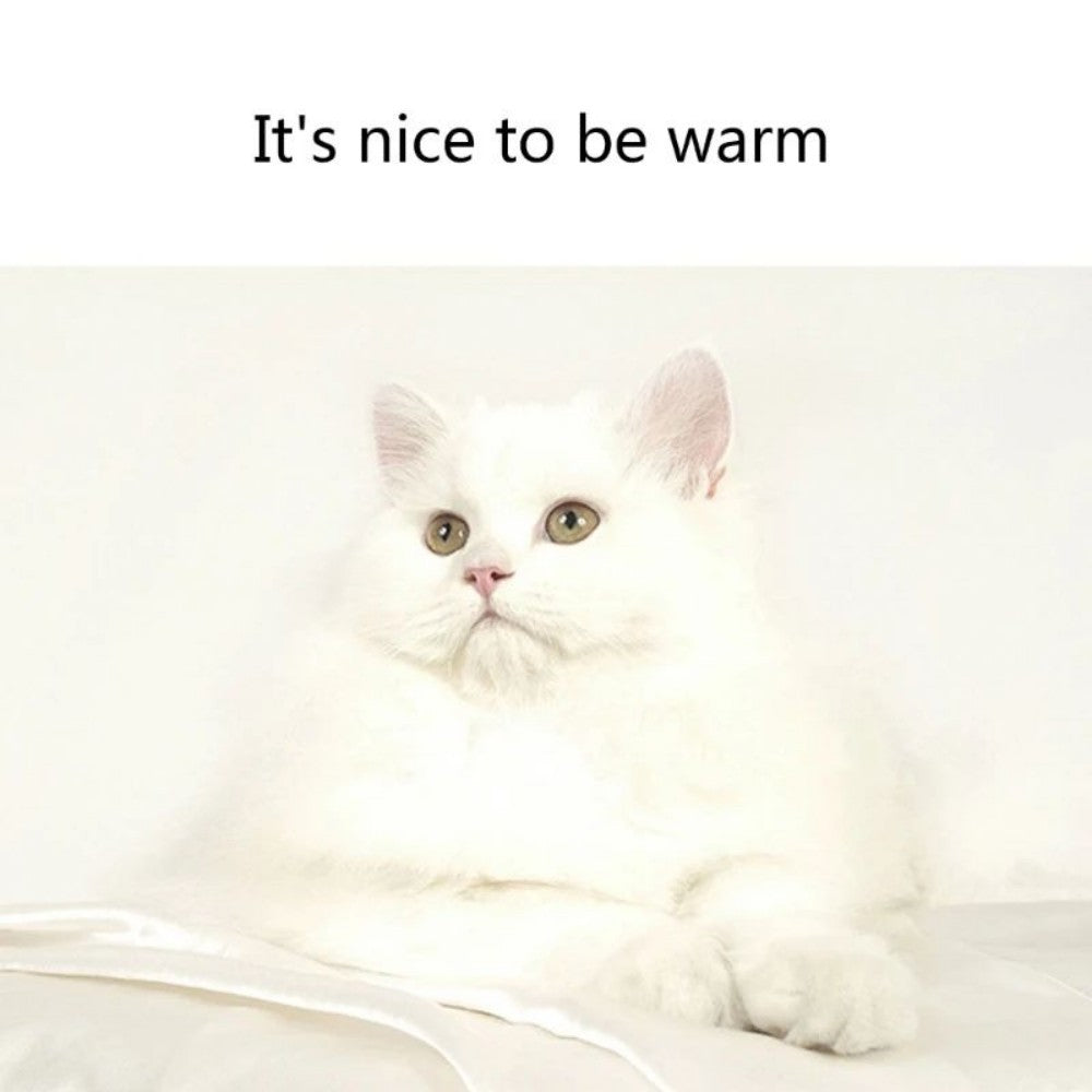 KTX-505107 Plush Winter Dog Bed Mat with Non-Skid Bottom for Comfort and Warmth