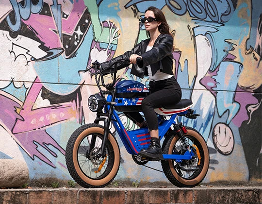 KTX-512659 Electric Bike 2000W Dual Batteries Long Range 48V 38Ah Fast Street Motorcycle