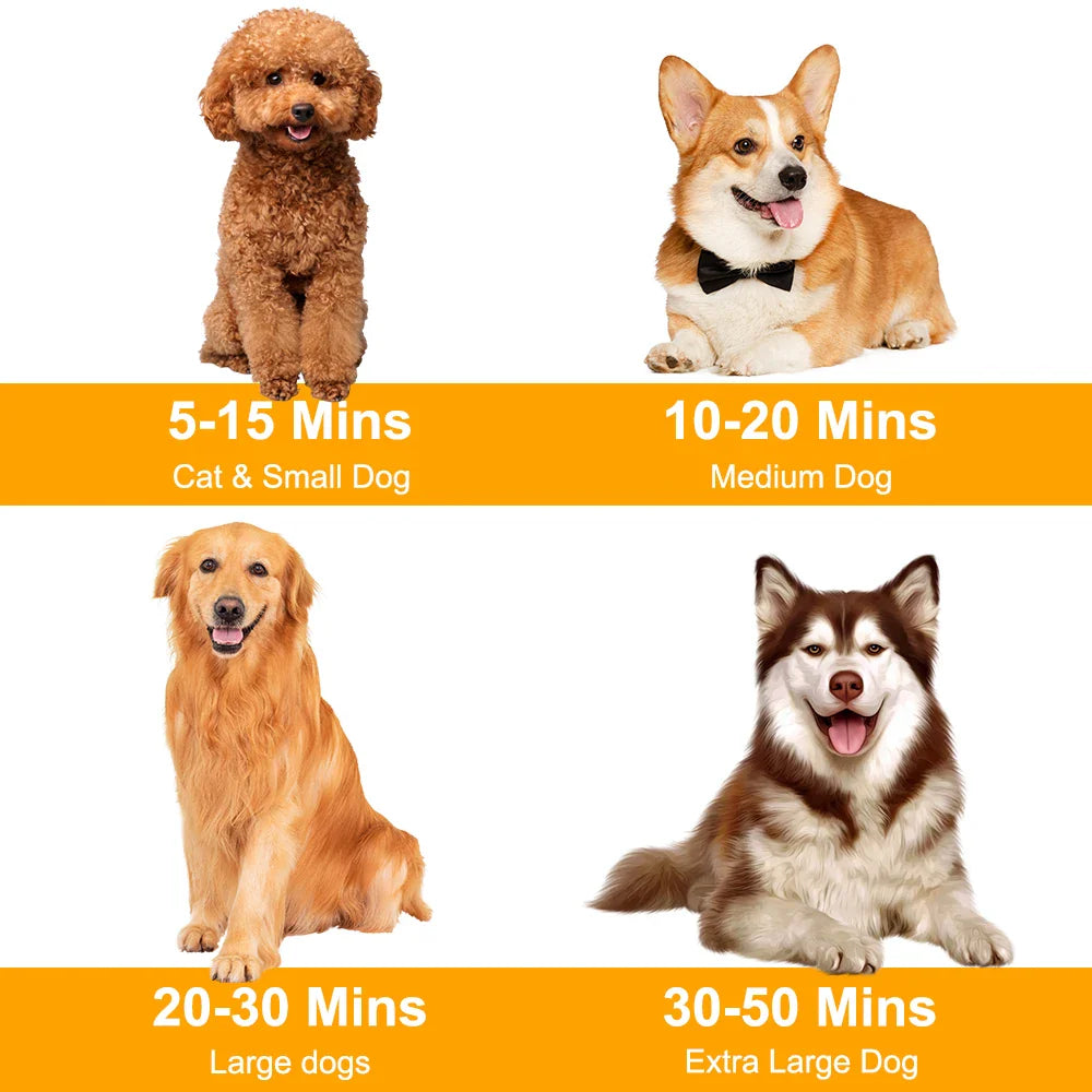 KTX-566163 Portable Stainless Steel Pet Hair Dryer and Grooming Kit with Brushes and Combs for Dogs and Cats