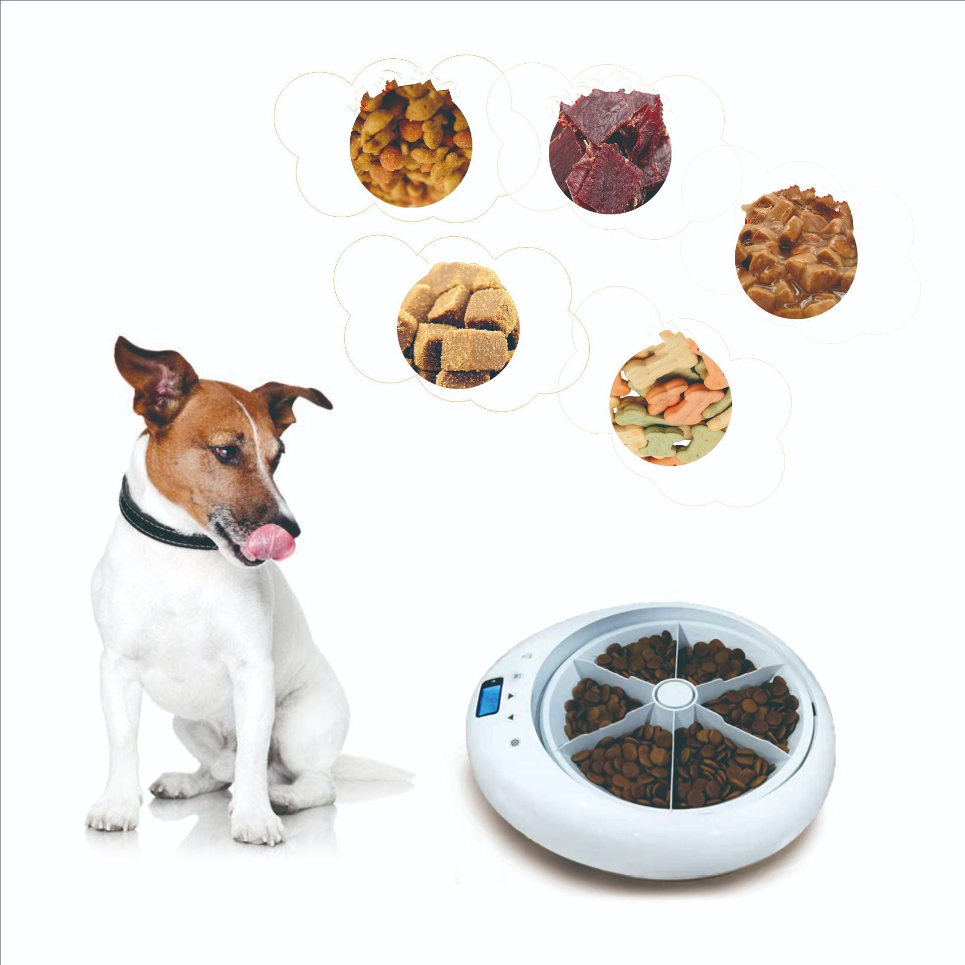 KTX-566675 Pet Six-Hole Smart Timing Feeder Dog Timing Quantitative Voice Reminder Cat Automatic Feeder
