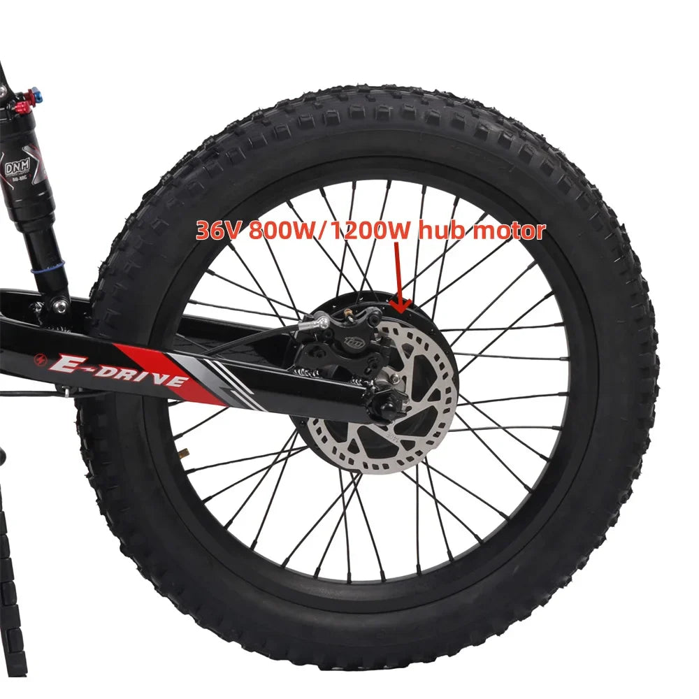 KTX-574227 Electric Balance Bike for Kids - 20 Inch Aluminum Frame, 36V Brushless Motor, Lithium Battery, KENDA Tires