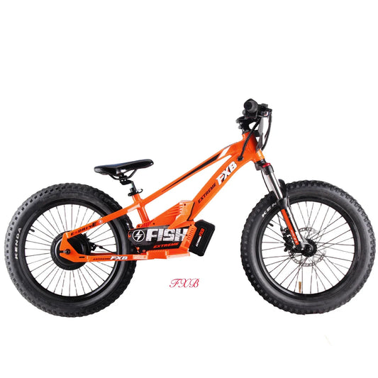 KTX-576531 20 Inch Electric Balance Bike for Kids, Aluminum Alloy Frame, 800W Motor, Ideal for Ages 5-12 Years, Lightweight Design