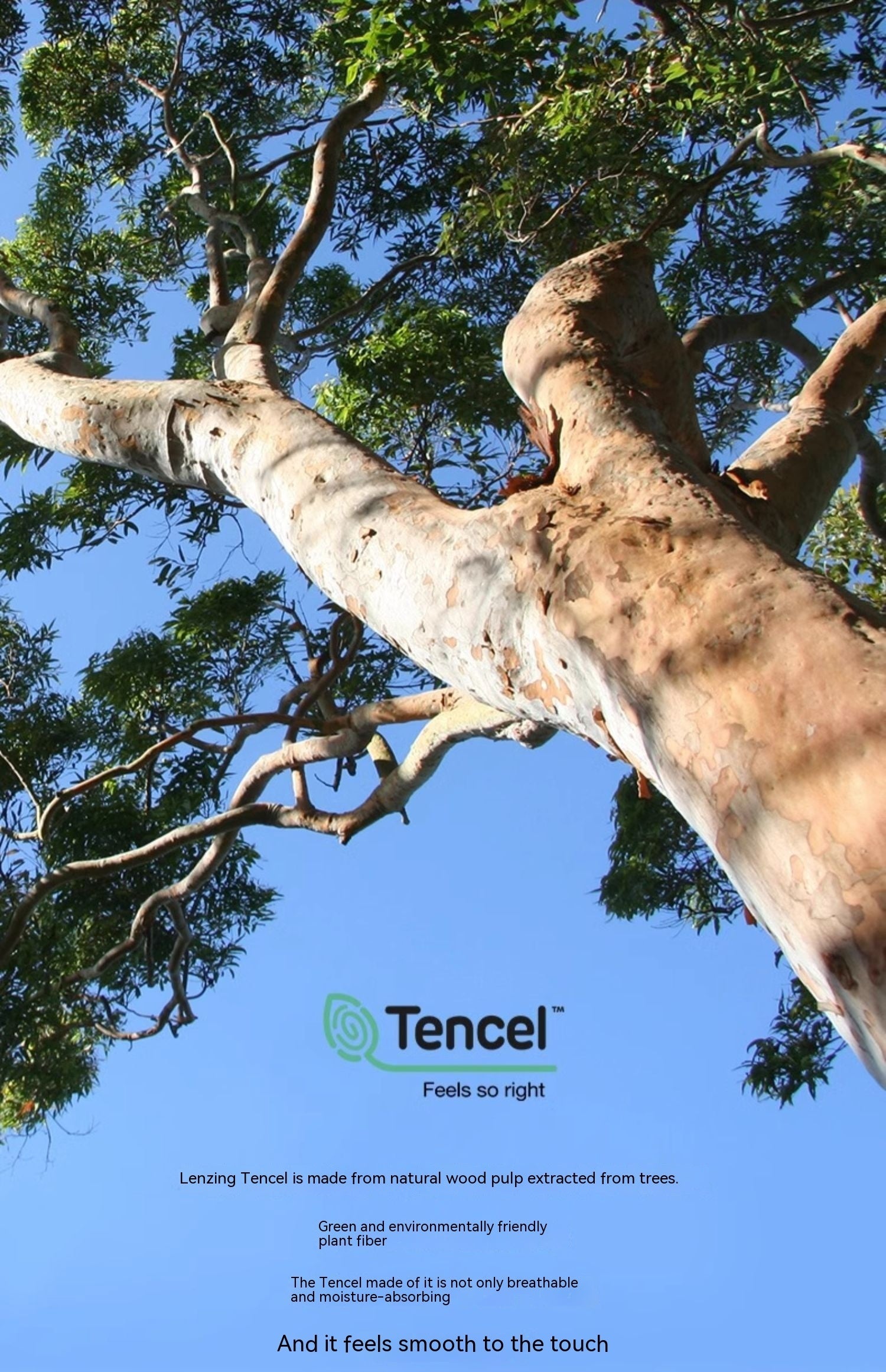 KTX-582675 60s Tencel Lyocell Fiber Short Pillowcase 50CMX70CM, 1 Pair for Single Pillow