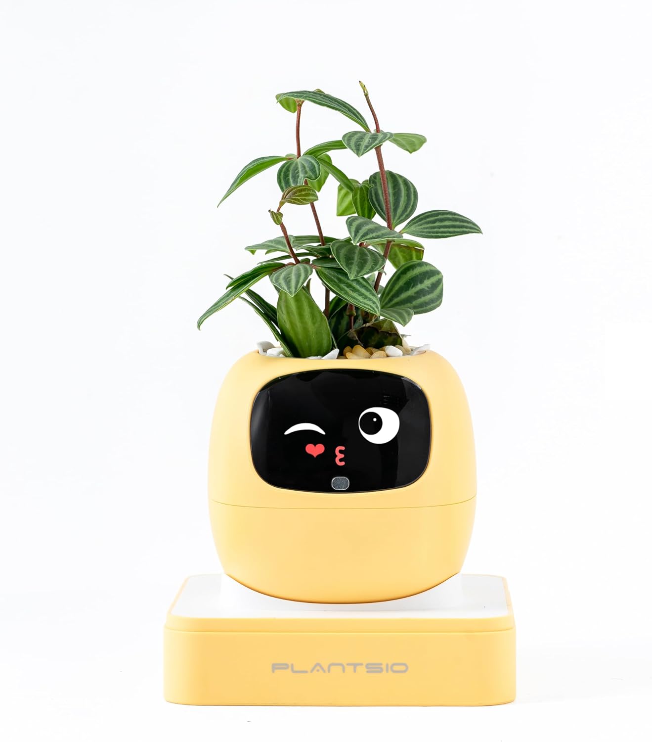 KTX-597715 Smart Plant Care Robot with Automated Watering, Soil Monitoring, and Gesture Interaction - Ideal for Home and Office Decor