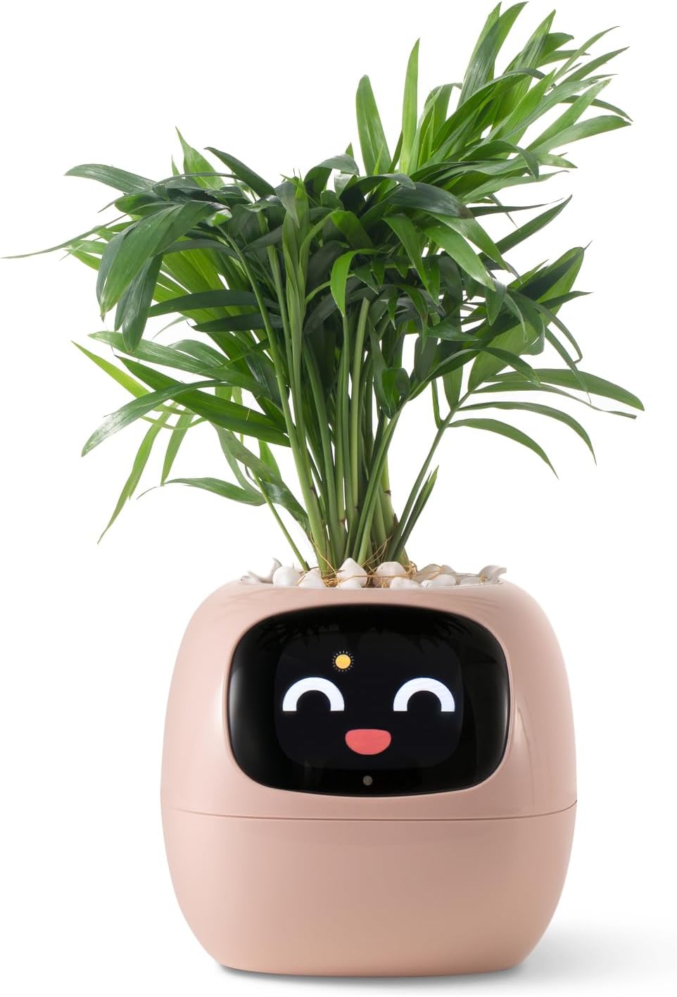 KTX-597715 Smart Plant Care Robot with Automated Watering, Soil Monitoring, and Gesture Interaction - Ideal for Home and Office Decor