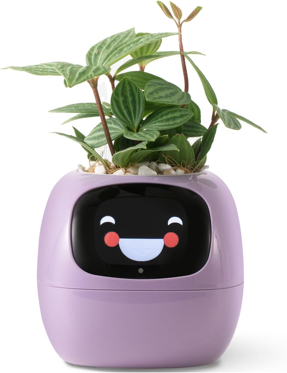 KTX-597715 Smart Plant Care Robot with Automated Watering, Soil Monitoring, and Gesture Interaction - Ideal for Home and Office Decor
