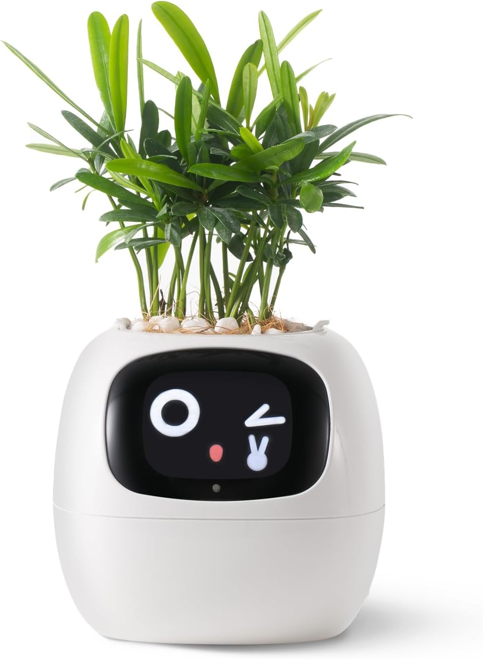 KTX-597715 Smart Plant Care Robot with Automated Watering, Soil Monitoring, and Gesture Interaction - Ideal for Home and Office Decor