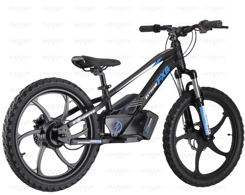 KTX-625107 20" Electric Balance Bike with 400W Hub Motor and 5.0AH Lithium Battery for Kids