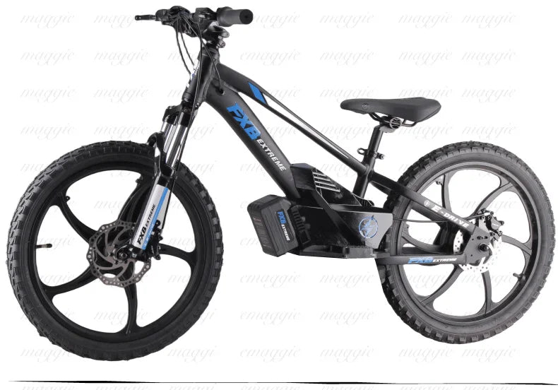 KTX-625107 20" Electric Balance Bike with 400W Hub Motor and 5.0AH Lithium Battery for Kids