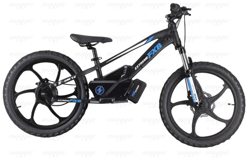 KTX-625107 20" Electric Balance Bike with 400W Hub Motor and 5.0AH Lithium Battery for Kids
