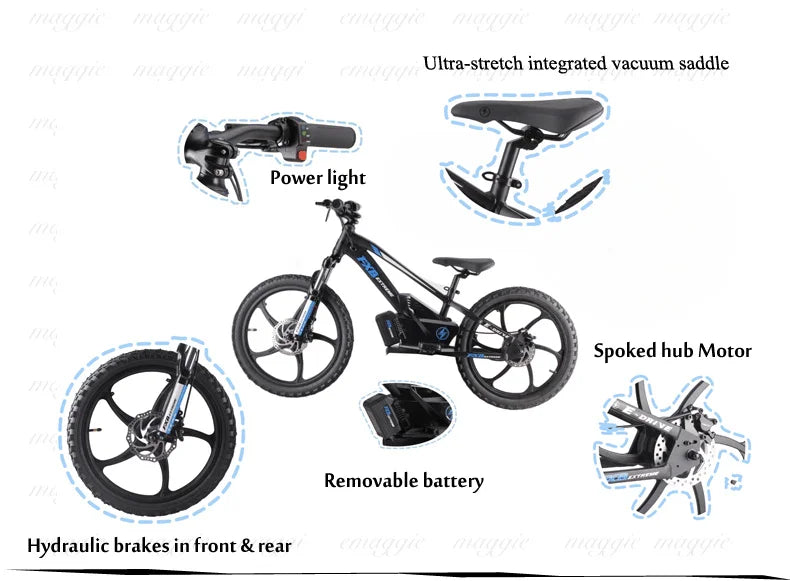 KTX-625107 20" Electric Balance Bike with 400W Hub Motor and 5.0AH Lithium Battery for Kids