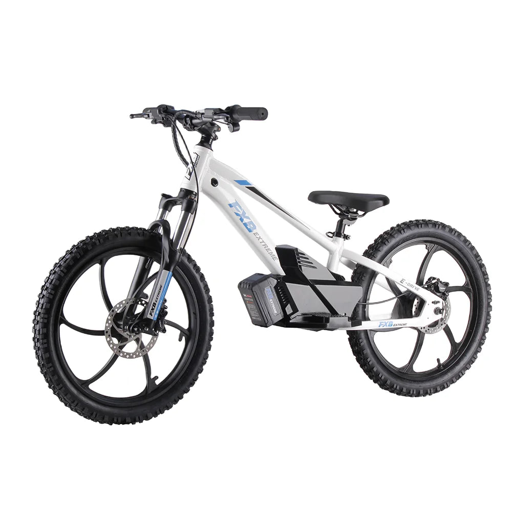 KTX-625107 20" Electric Balance Bike with 400W Hub Motor and 5.0AH Lithium Battery for Kids
