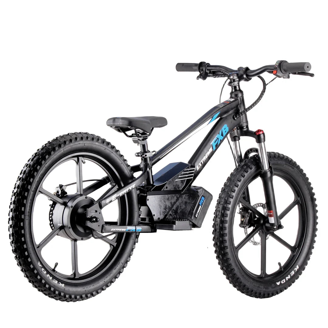 KTX-625107 20" Electric Balance Bike with 400W Hub Motor and 5.0AH Lithium Battery for Kids