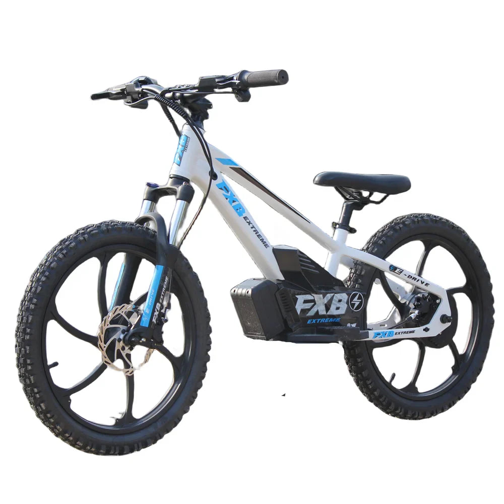 KTX-640915 20-Inch Electric Balance Bike with 400W Motor and Hydraulic Disc Brake