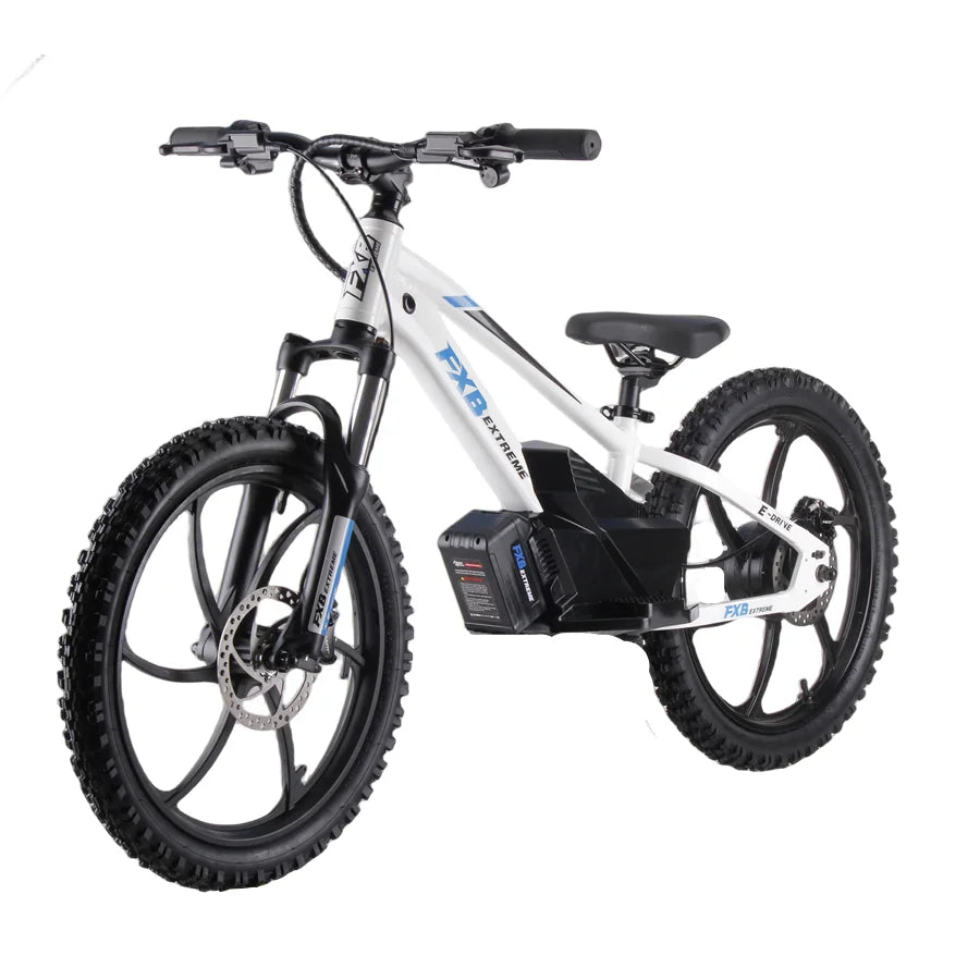 KTX-640915 20-Inch Electric Balance Bike with 400W Motor and Hydraulic Disc Brake