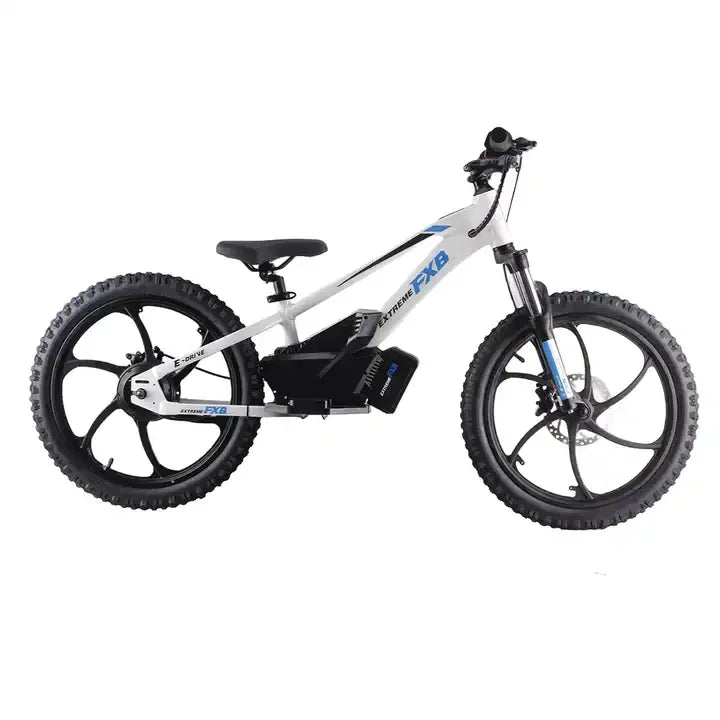 KTX-640915 20-Inch Electric Balance Bike with 400W Motor and Hydraulic Disc Brake