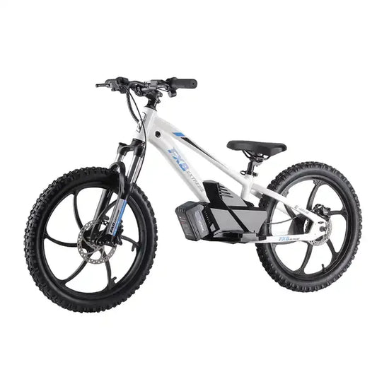 KTX-640915 20-Inch Electric Balance Bike with 400W Motor and Hydraulic Disc Brake