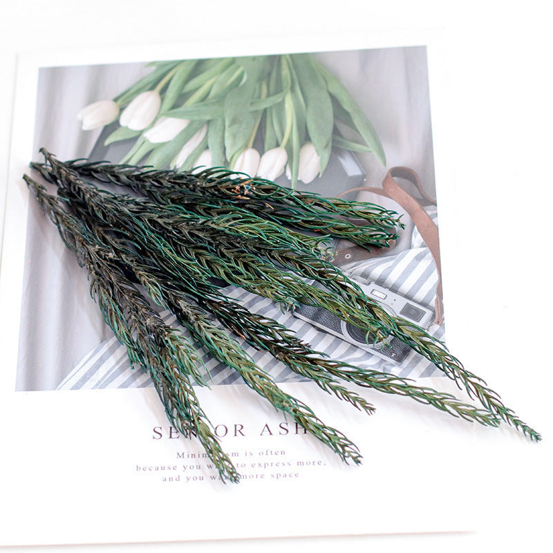 KTX-660691 Fire-Free Cinnamon Pine Cone Aroma Diffuser Cup - Natural Dried Floral Design for Relaxing Ambiance