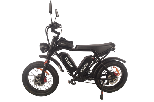 KTX-663763 High-Performance Electric Mountain Bike with 2000W Dual Hub Motor and Dual Lithium Battery