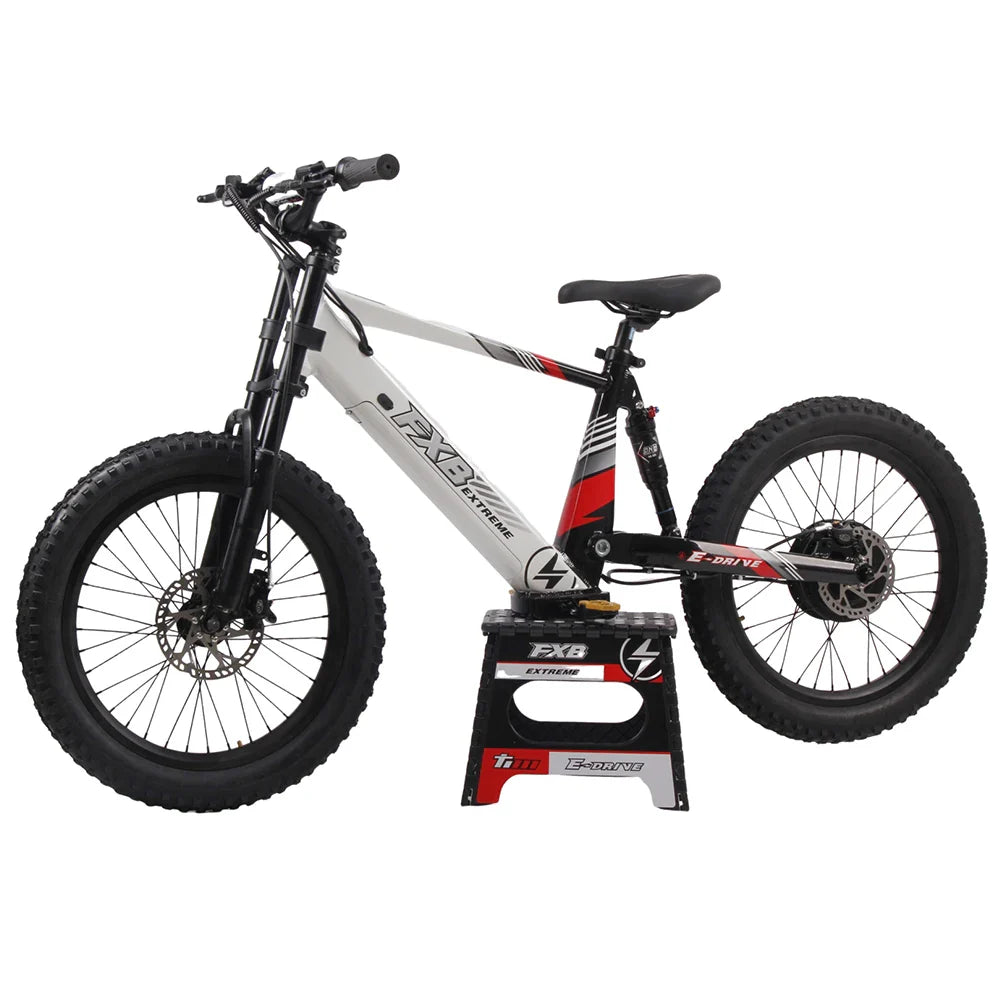 KTX-672531 20-Inch Electric Balance Bike for Kids with Aluminum Frame and Hydraulic Brakes